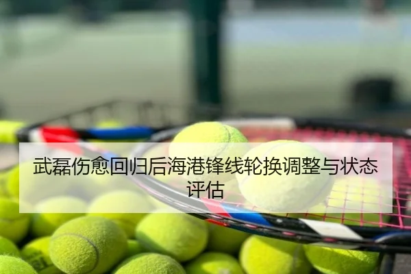 武磊伤愈回归后海港锋线轮换调整与状态评估（huangguoai）